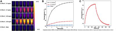 Metal-polyphenol polymer modified polydopamine for chemo-photothermal therapy